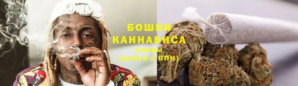 не бодяженный Ладушкин
