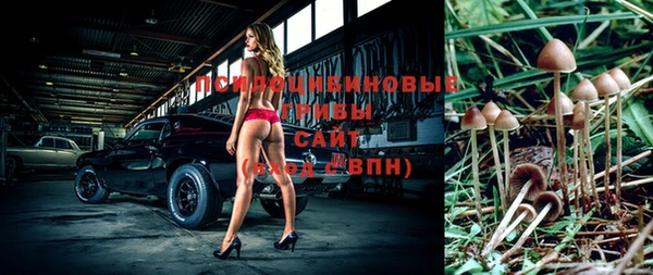 сатива Лагань