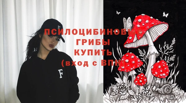 не бодяженный Ладушкин