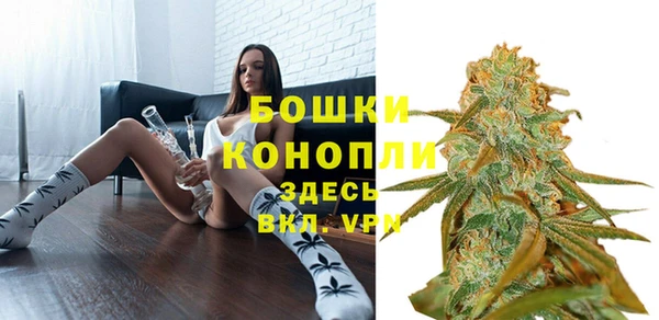 не бодяженный Ладушкин