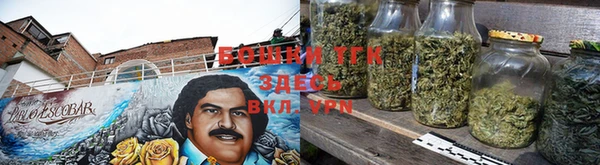 сатива Лагань