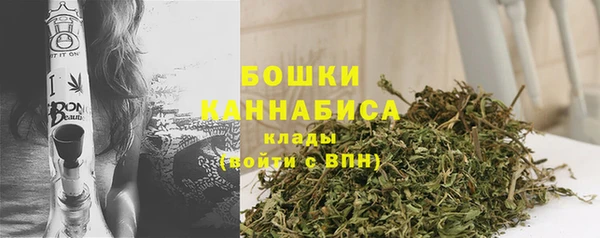 не бодяженный Ладушкин