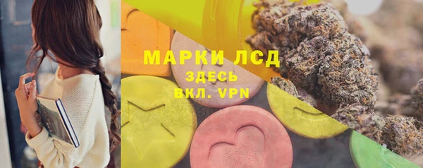 сатива Лагань