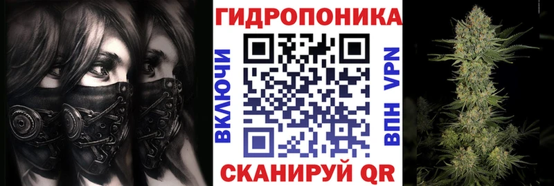 Марихуана планчик  Елизаветинская 